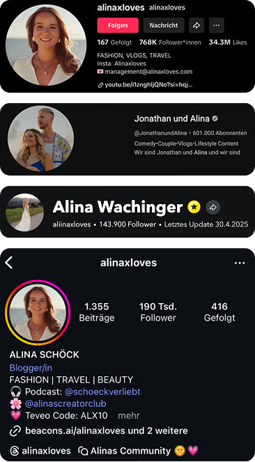 Alina Schöck Social Media Stats Mobile